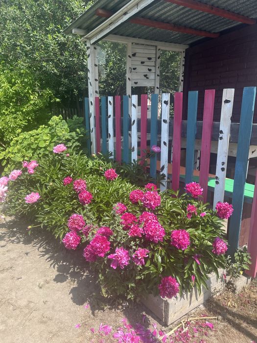 Продам дачу в районе Ахмирово