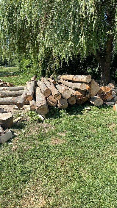 Lemn de Foc Fag !Contra cost se taie si sparg!Cele mai bun preturi !