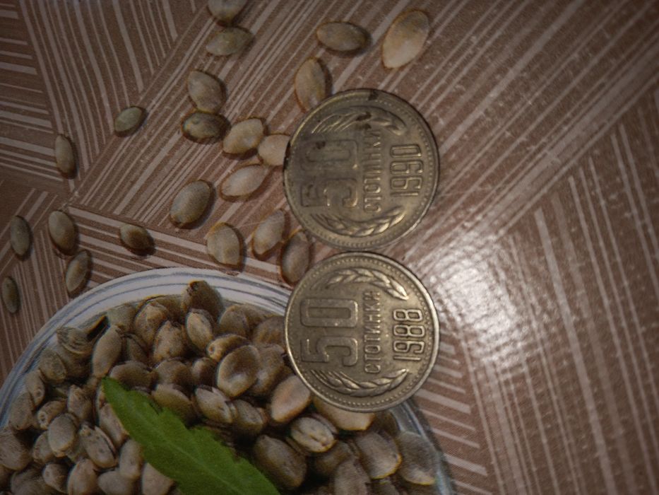 Ретро колекционерски стотинки