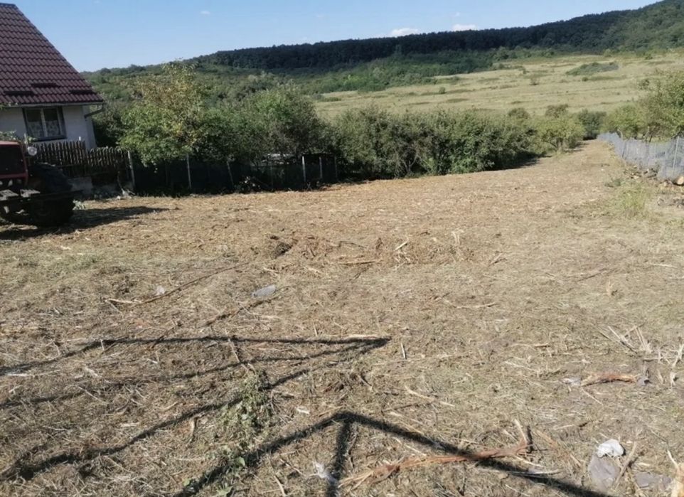 Curatare defrisare terenuri tocat spini