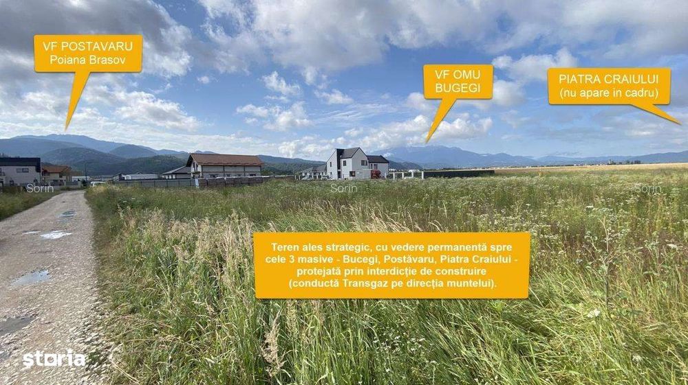De vânzare teren în Cristian, Brașov – 1.275 mp, panorama spre Bucegi