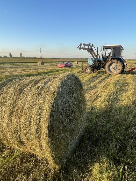 Сено разнотравье