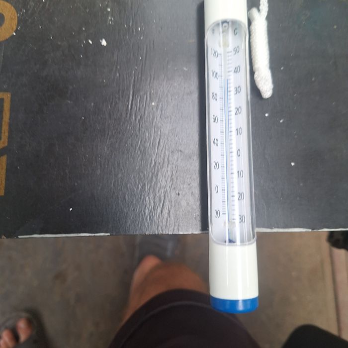 Термометри за басейн