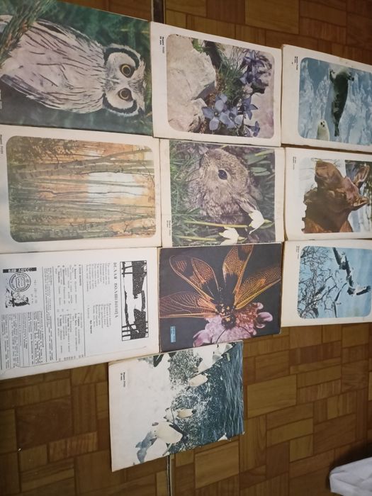 Подписка за 1974 год , журнал Юный натуралист