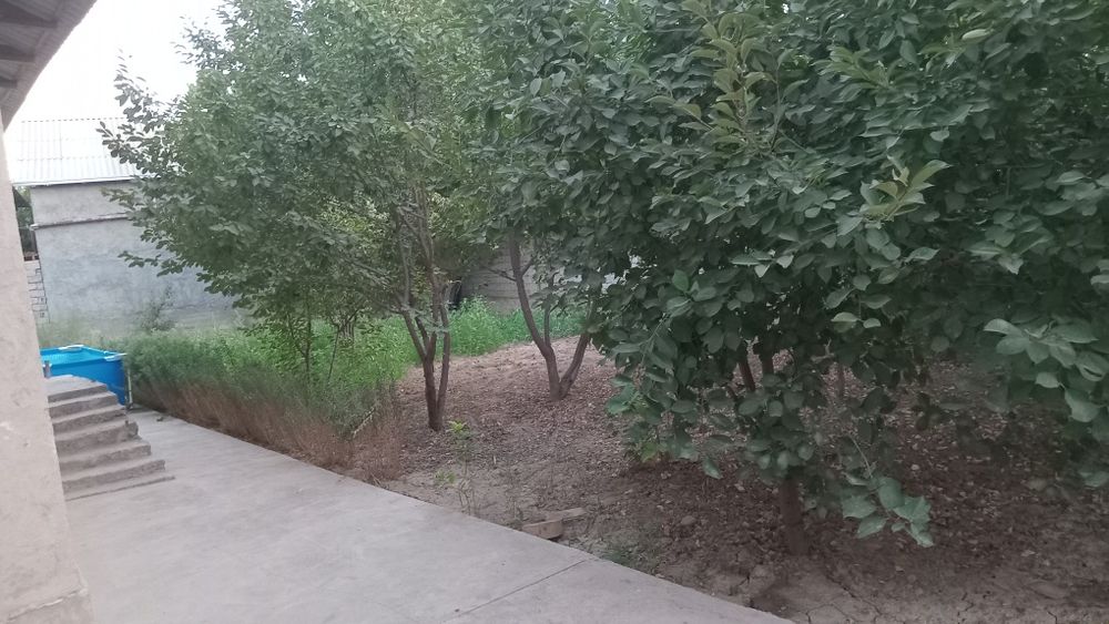 Hovli sotiladi hamma sharoit bor