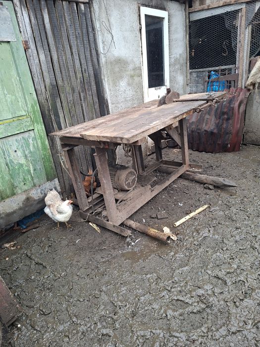 Vând circulă cu abric