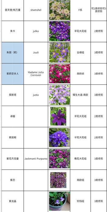 Климатис биринчи кул оптом