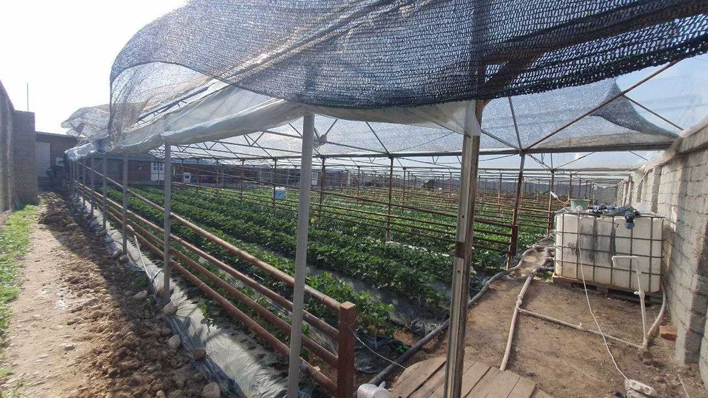 Участка сотилади + таёр тепитсаси бор