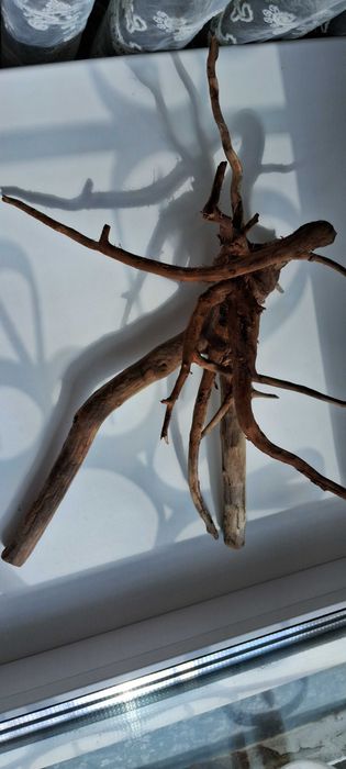 Коряга в аквариум