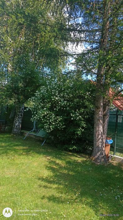 Vânzare casa vacanta Cheia Prahova