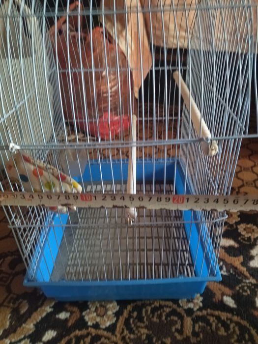 Продам разные клетки