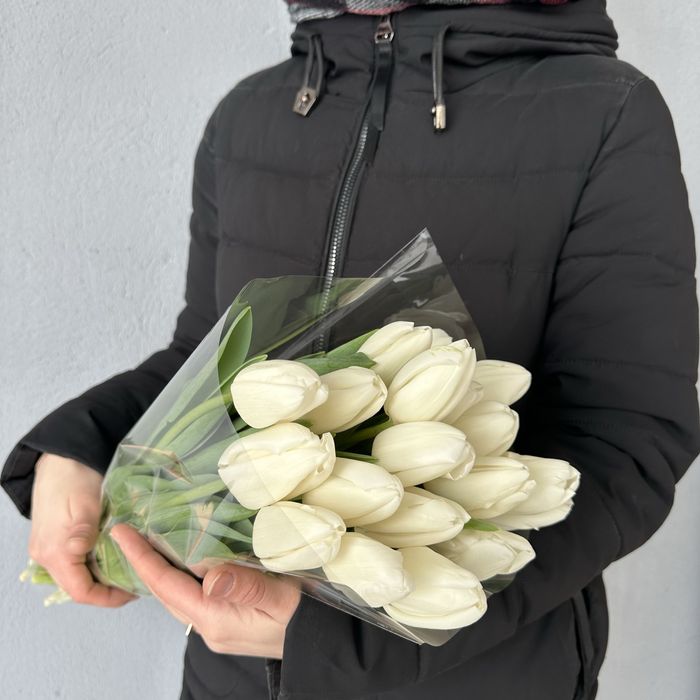 Большие Тюльпаны