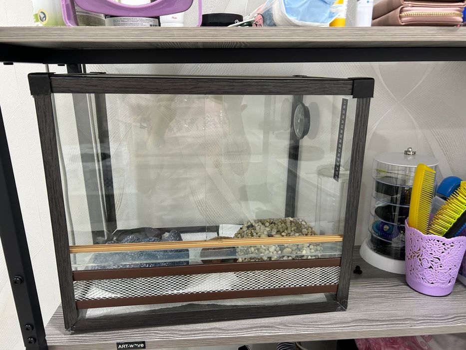 Продаю террариум