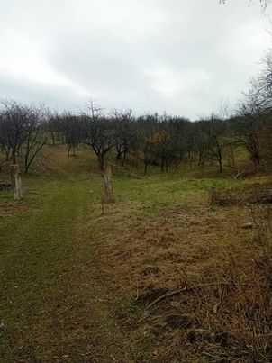 Vand livada intravilan si extravilan