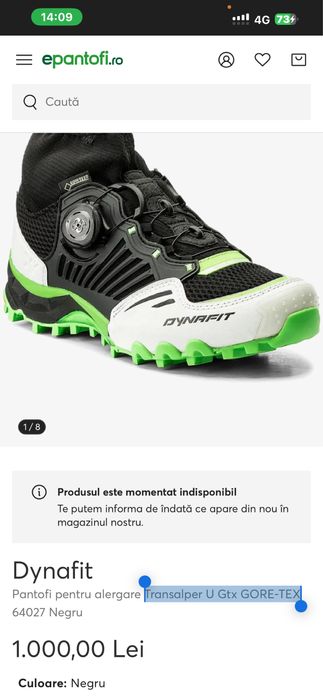 Pantofi sport Dynafit Transalper U Gtx GORE-TEX nr.46
