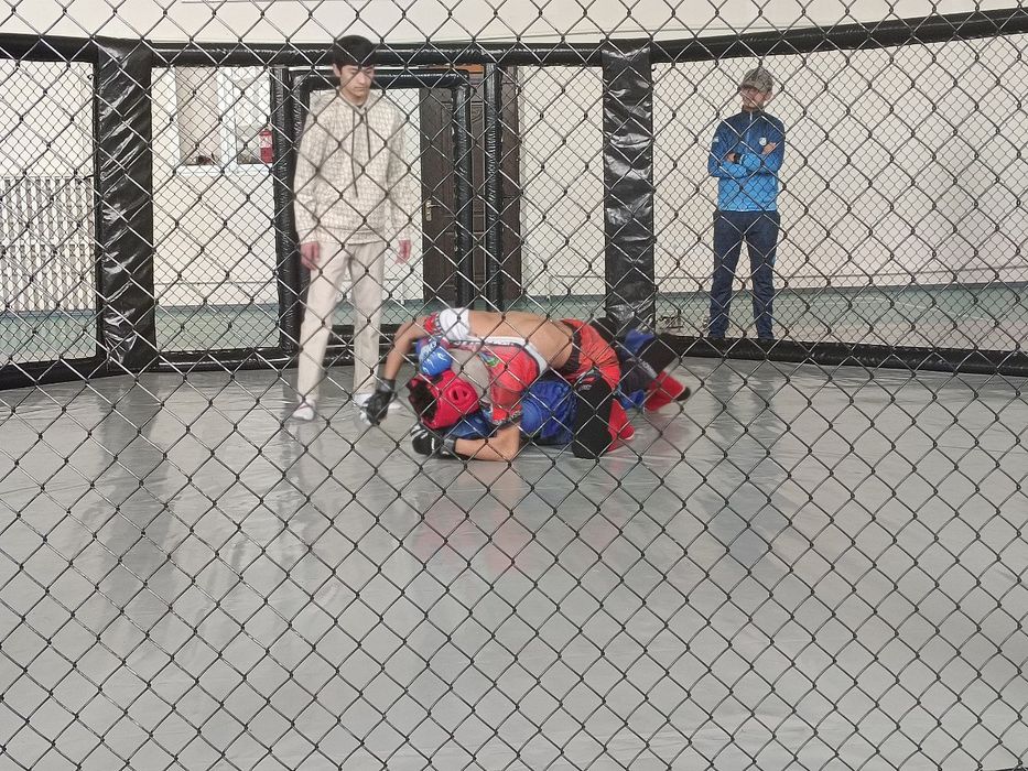 Aktagon mma 7×7 razmer
