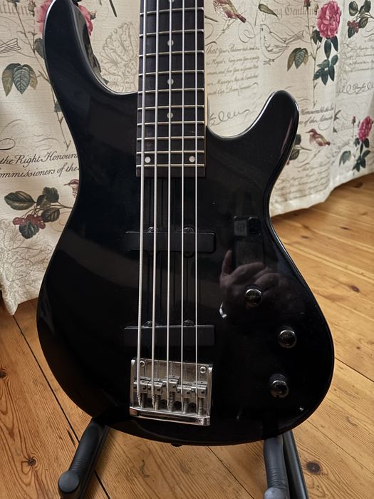 Бас гитара 5 струнная