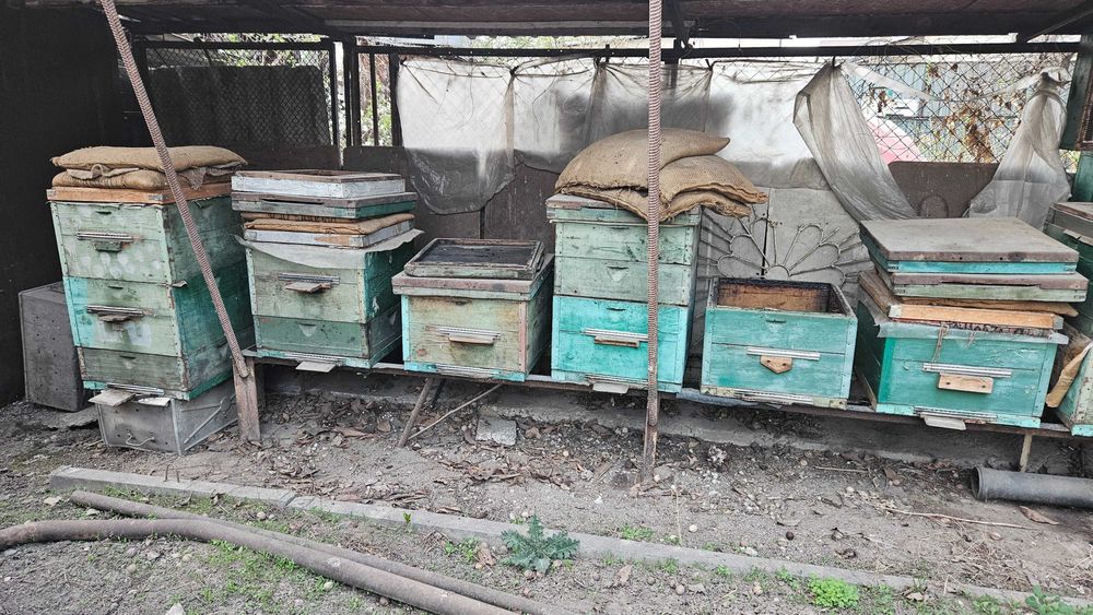 Улья для пчёл б/у