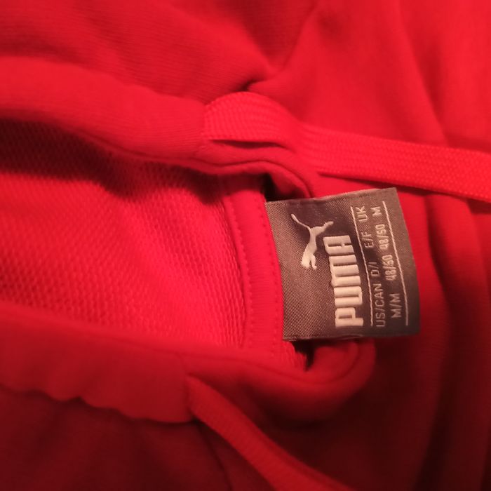 Puma  Red Hoodie