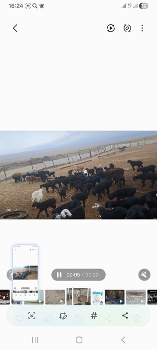 Фазенда сатылады