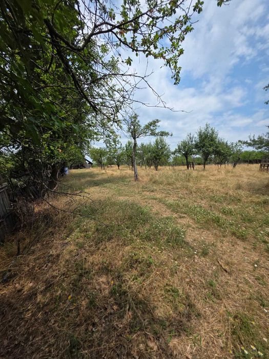 Teren intravilan Babana