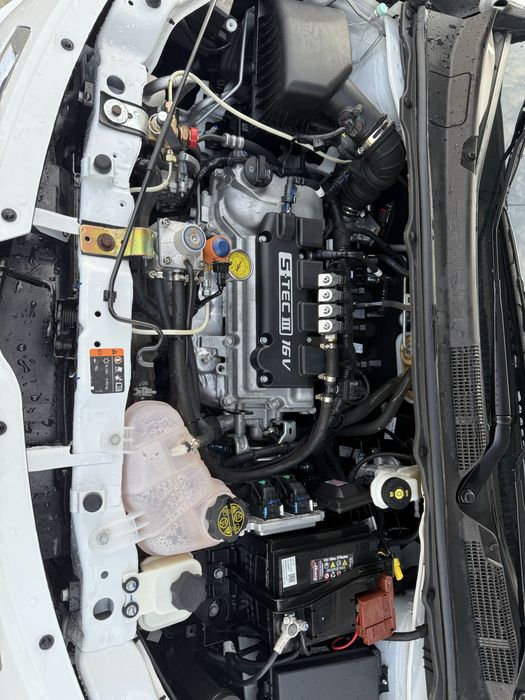 Коблт 2025 афтомат минтнайт