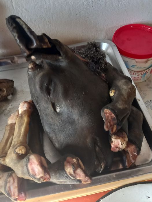 Қойдың еті сатылады