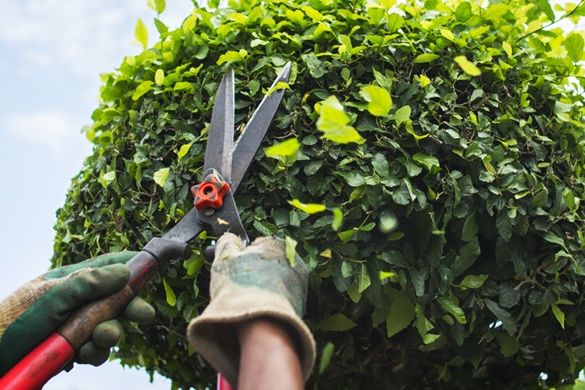 Вспашка огорода,дачи!!!