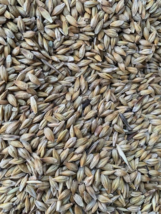 Соя.Платный чат! Все корма.