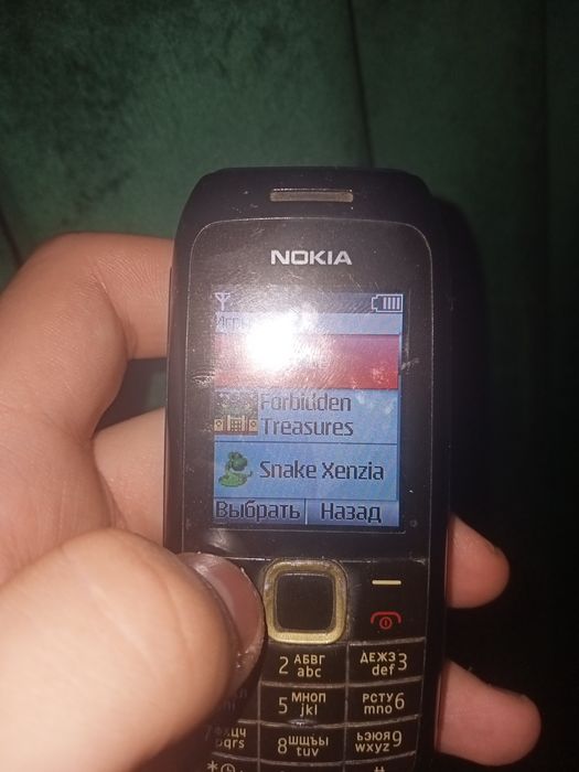 Кнопочный Nokia 1616-2
