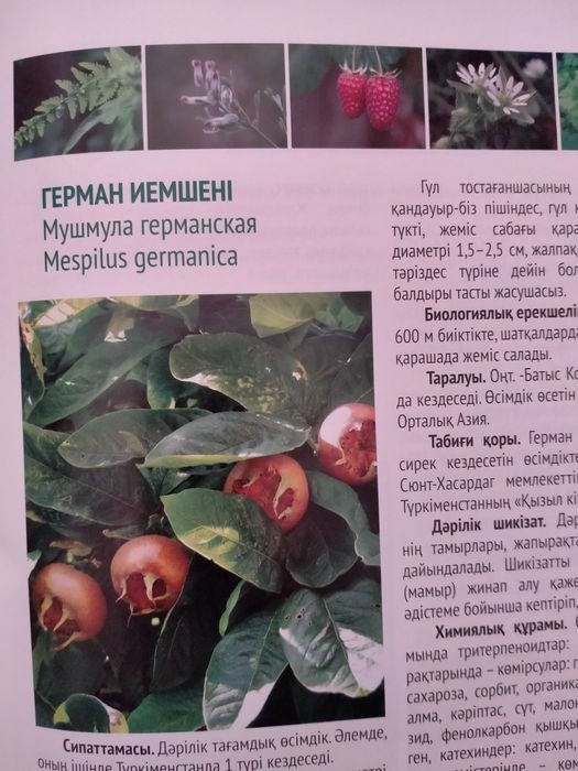Продам книги в двух томах