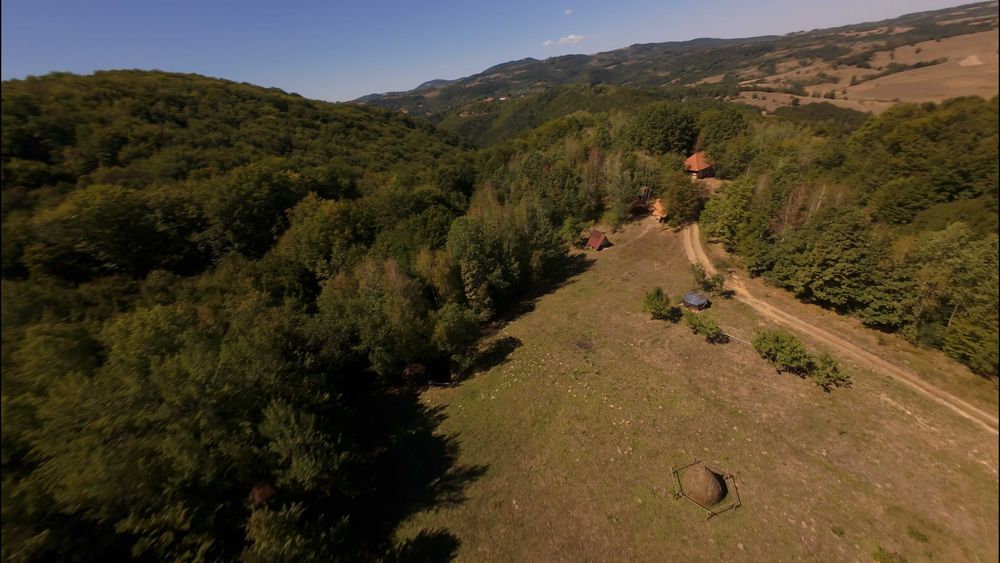 Poiană privată, pădure și cabană | Proprietate cu potențial turistic