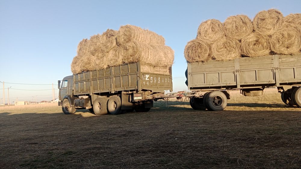 Продам сено разнотравия руллонах зелёный