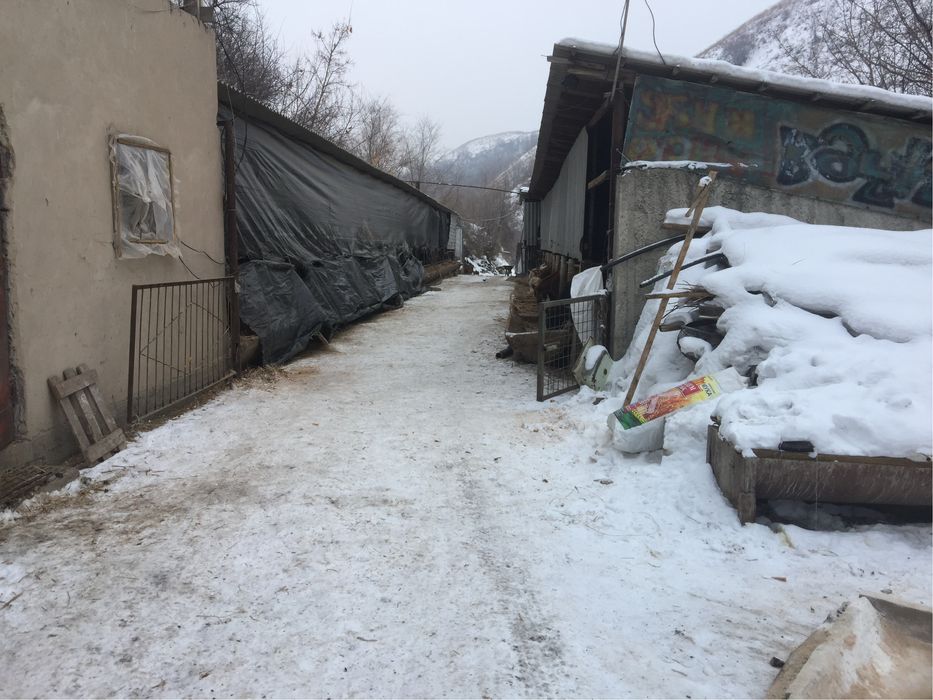 Продам фазенду 173га