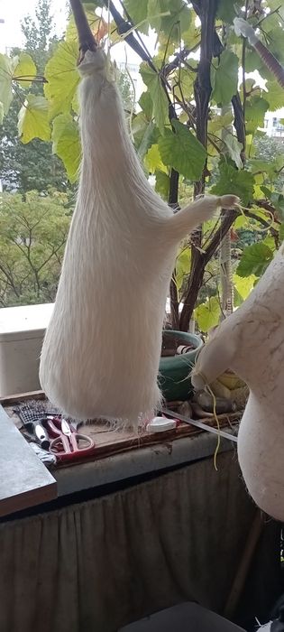 Мях за гайда - естествен