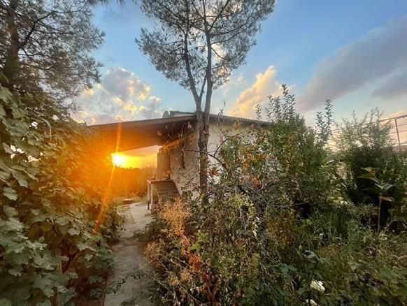 Parvozda yer 8.8 sotig