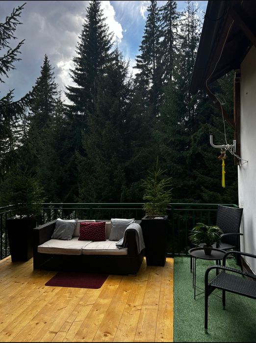 Libera de Craciun Ranca Cabana cu Ciubar de inchiriat Ranca Gorj