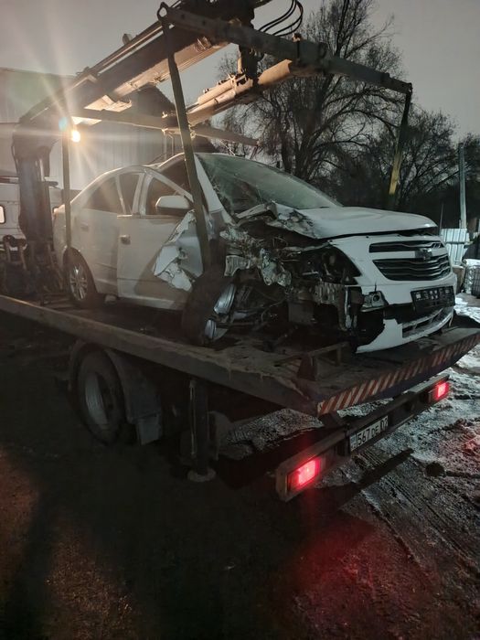 На Кета новой собалт2023