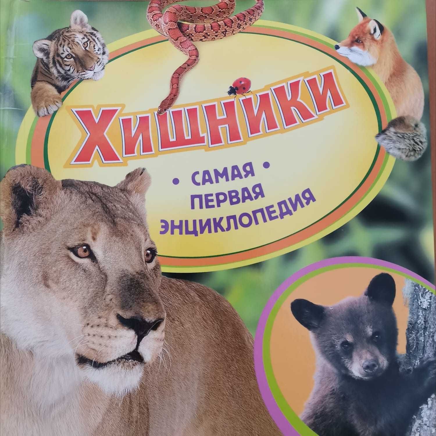 Книги про животных. Самая первая энциклопедия хищники Росмэн. Книга самая первая энциклопедия. Животные России самая первая энциклопедия. Книги о животных.