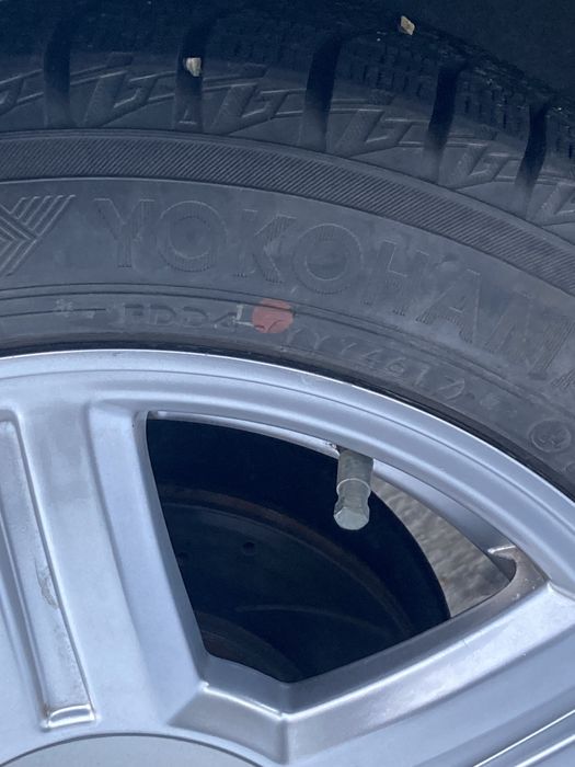 Обеняю 15 торусы