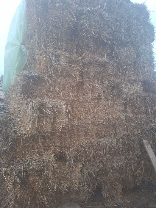 Baloti de paie de anul acesta