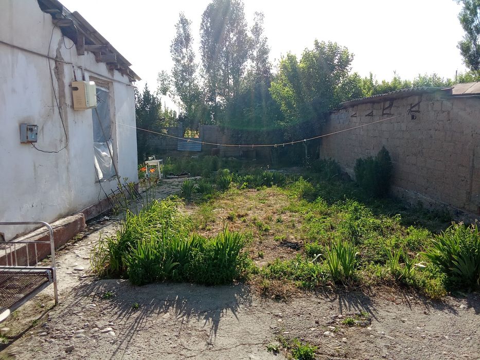 Yuqori Chirchiq Baliqchi  xovli sotladi