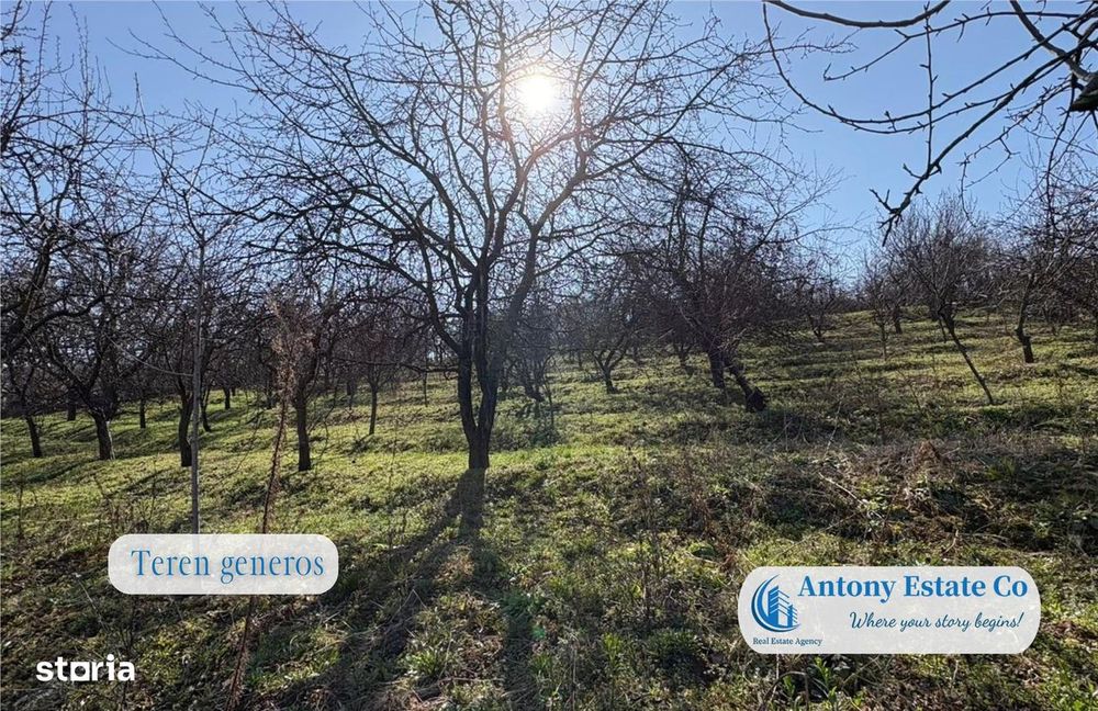 Casa cu Livada – proprietate deosebita cu livada si curte mare