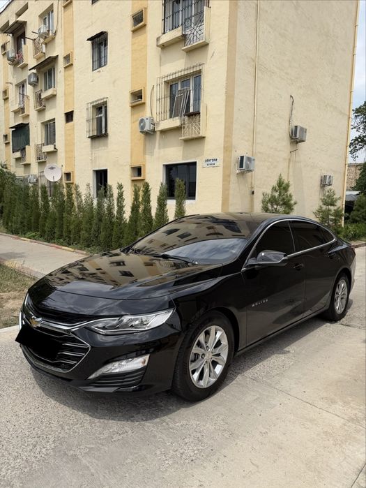Malibu 2 Premier 2022