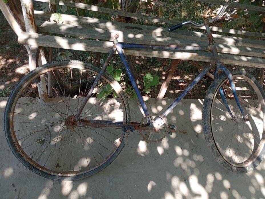 velosifed tortishi yaxshi