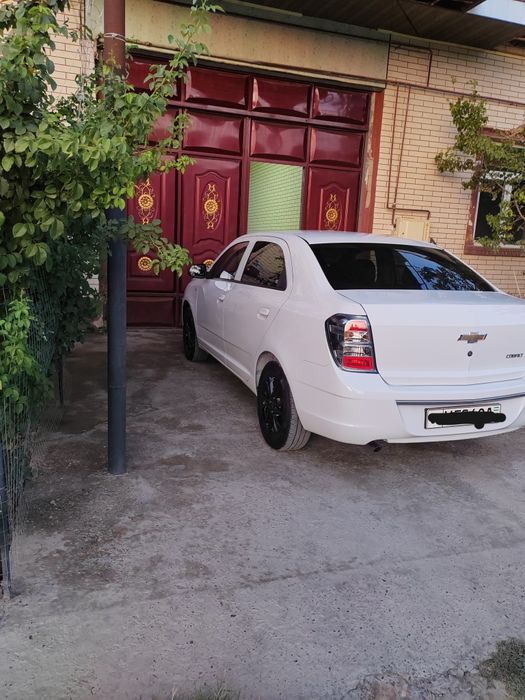 Кобат сотилади 2025