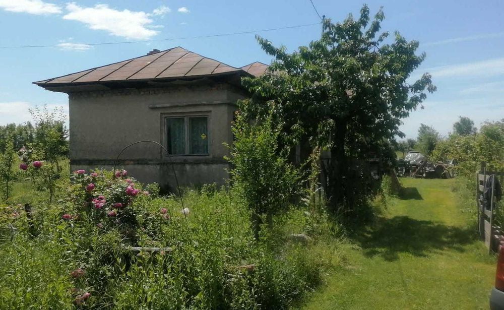 Casă + Teren 2700 mp Intravilan | Cocorăștii Colț (Satul de Sus)
