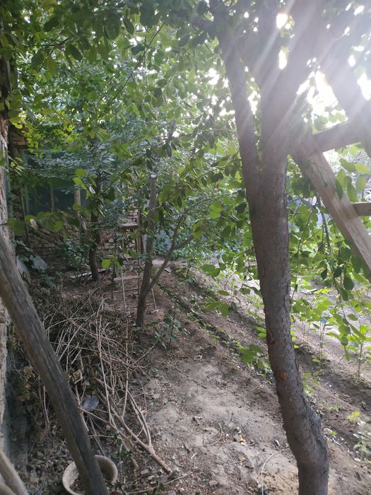 Хороший свой дом