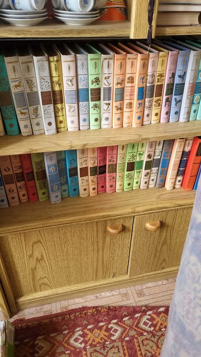 Домашнее вещи, посуда,  книги, хрусталь, ковры