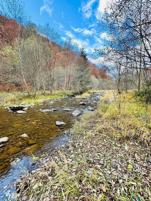 Teren 4,877mp Mara / Strada Principala